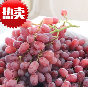 ���Ѻ����ӿ��������ʴ����������ѵ����и�ˮ�������������������_1����������ˮ��